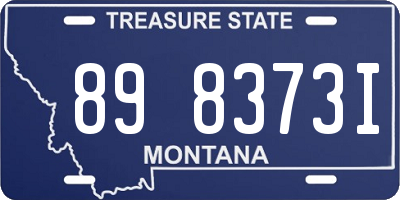 MT license plate 898373I
