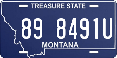 MT license plate 898491U