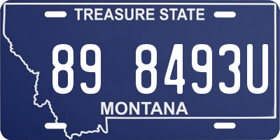 MT license plate 898493U