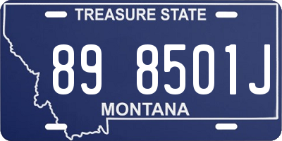 MT license plate 898501J