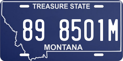 MT license plate 898501M