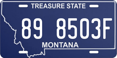 MT license plate 898503F