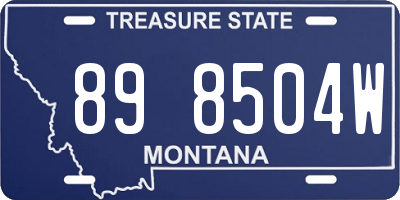 MT license plate 898504W