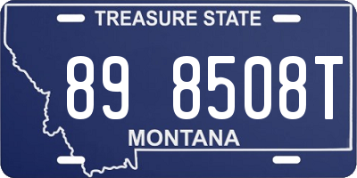 MT license plate 898508T