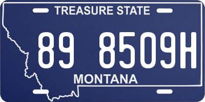 MT license plate 898509H