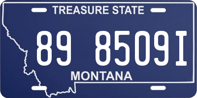 MT license plate 898509I