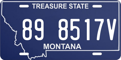 MT license plate 898517V
