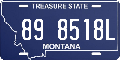 MT license plate 898518L