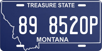 MT license plate 898520P
