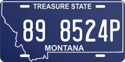 MT license plate 898524P