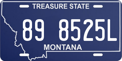MT license plate 898525L