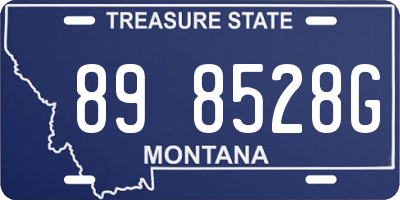 MT license plate 898528G