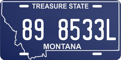 MT license plate 898533L