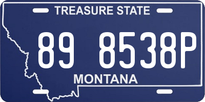 MT license plate 898538P