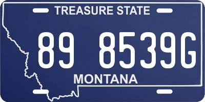 MT license plate 898539G