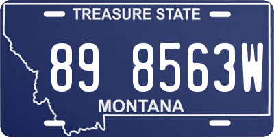 MT license plate 898563W
