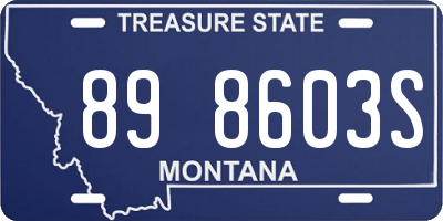 MT license plate 898603S