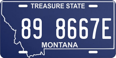 MT license plate 898667E