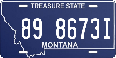 MT license plate 898673I