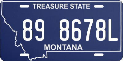 MT license plate 898678L