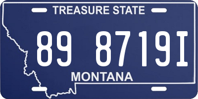 MT license plate 898719I