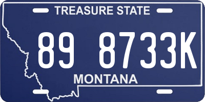 MT license plate 898733K