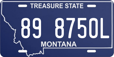 MT license plate 898750L