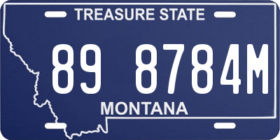 MT license plate 898784M
