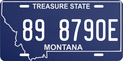 MT license plate 898790E