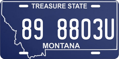 MT license plate 898803U