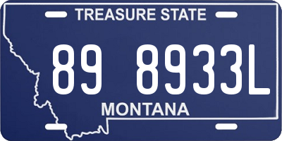 MT license plate 898933L
