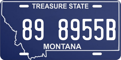 MT license plate 898955B