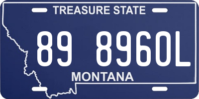 MT license plate 898960L