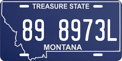 MT license plate 898973L