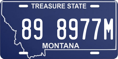 MT license plate 898977M