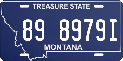 MT license plate 898979I