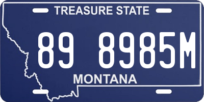 MT license plate 898985M