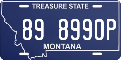 MT license plate 898990P