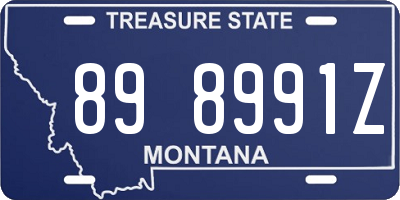 MT license plate 898991Z
