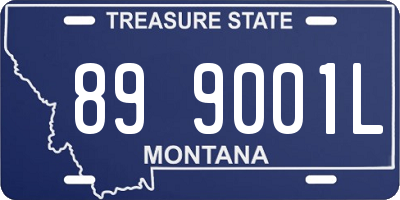MT license plate 899001L