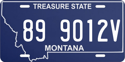 MT license plate 899012V