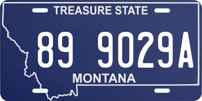 MT license plate 899029A