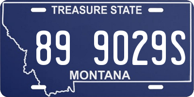MT license plate 899029S