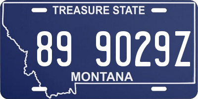 MT license plate 899029Z