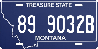 MT license plate 899032B