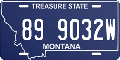 MT license plate 899032W
