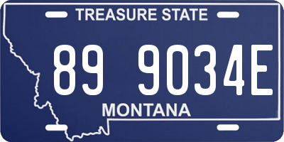 MT license plate 899034E