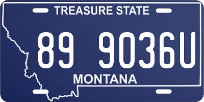 MT license plate 899036U