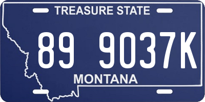 MT license plate 899037K