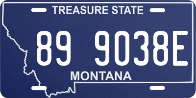 MT license plate 899038E